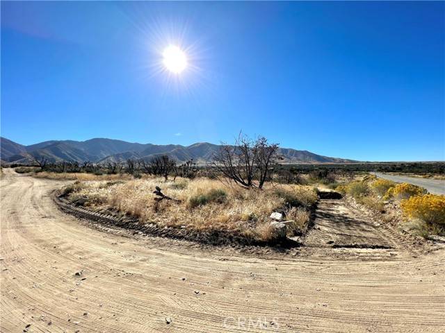 Juniper Hills, CA 93543,0 Tumbleweed Rd Vic Piani