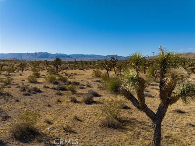 Yucca Valley, CA 92284,4558 Yucca Mesa