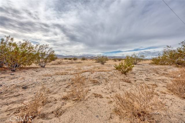 Joshua Tree, CA 92252,123 Walpi