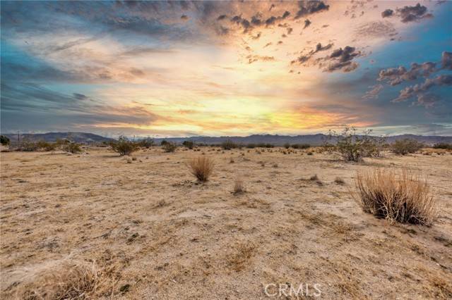 Joshua Tree, CA 92252,123 Walpi