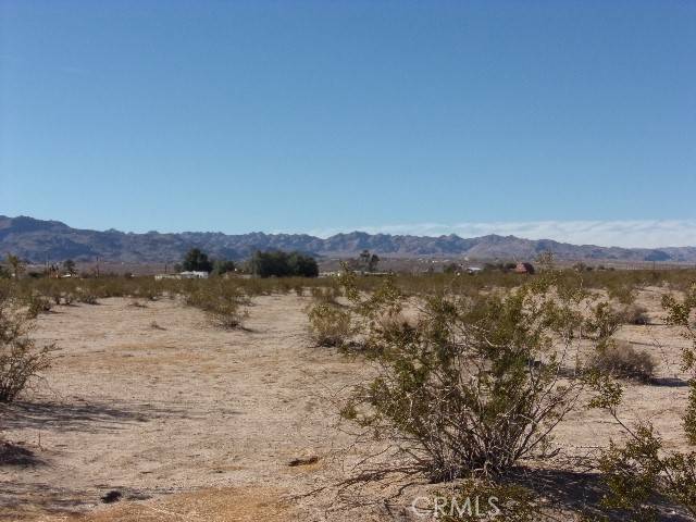 29 Palms, CA 92277,0 Indian