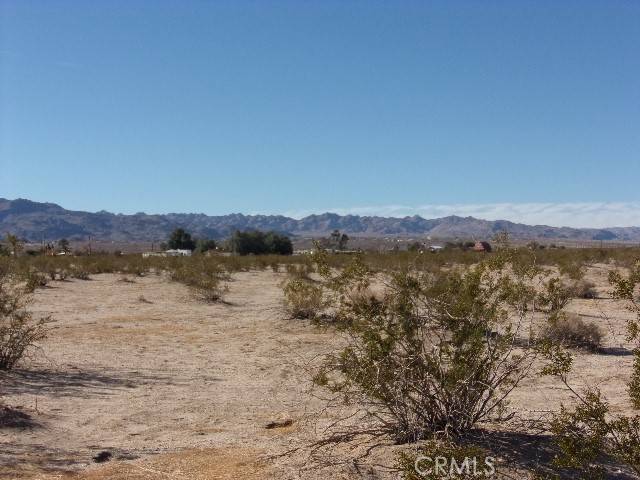 29 Palms, CA 92277,0 Indian