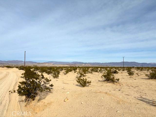 29 Palms, CA 92277,0 Primrose