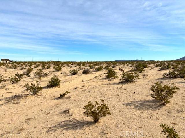 29 Palms, CA 92277,0 Primrose