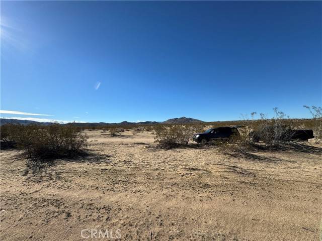 Joshua Tree, CA 92252,63325 Sunflower