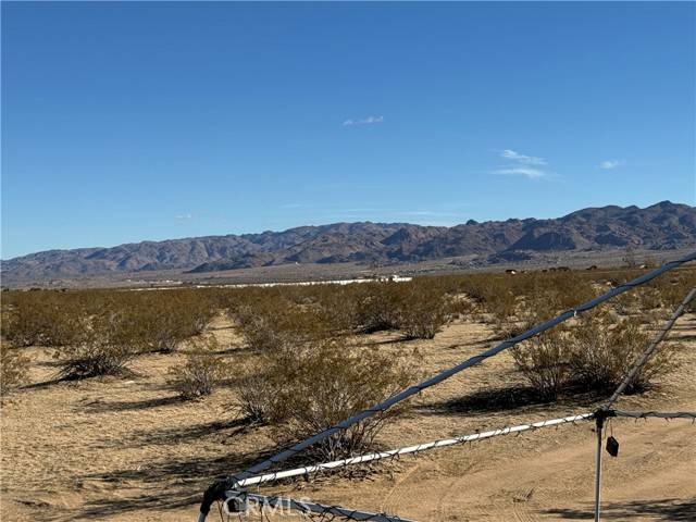 Joshua Tree, CA 92252,63325 Sunflower