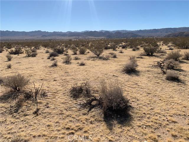 Joshua Tree, CA 92252,62259 Dixie