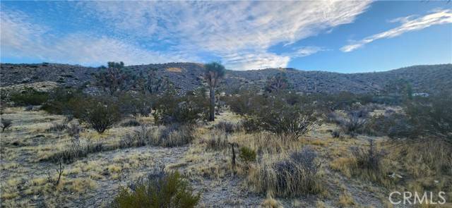 Yucca Valley, CA 92284,19 Jericho