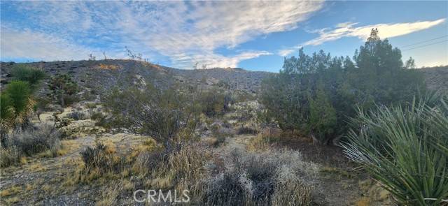 Yucca Valley, CA 92284,19 Jericho