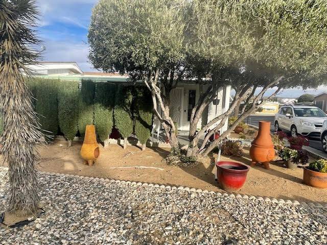 Yucca Valley, CA 92284,7501 Palm #133