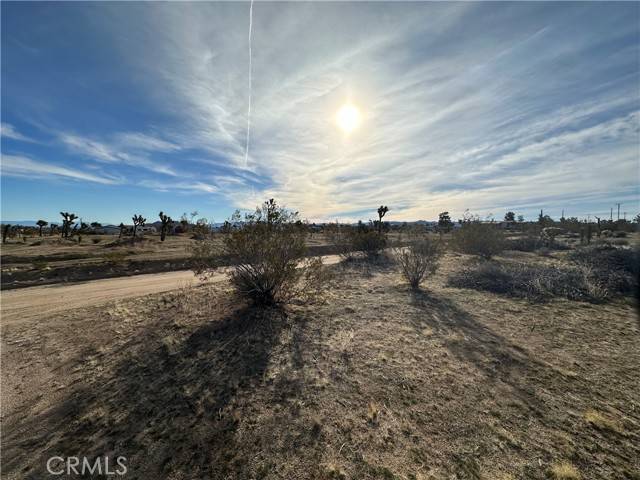 Yucca Valley, CA 92284,3910 Greasewood