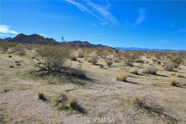 Joshua Tree, CA 92252,64755 Foothill