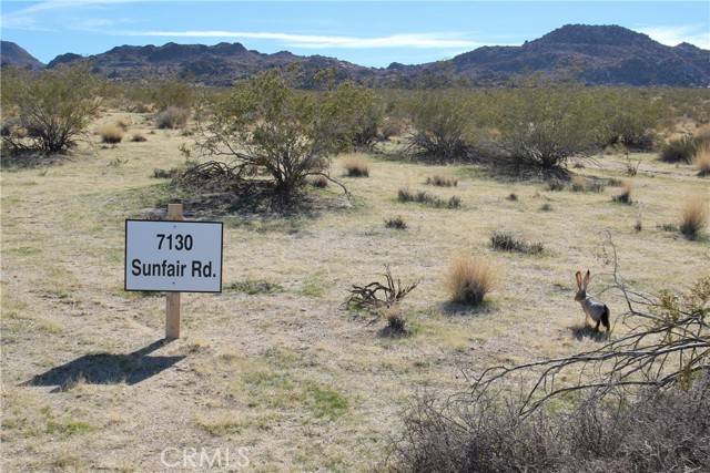 Joshua Tree, CA 92252,7130 Sunfair