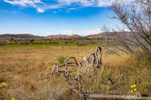 Pioneertown, CA 92268,52550 Geronimo