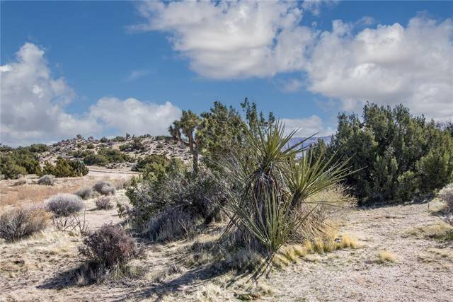 Yucca Valley, CA 92284,777 Grand