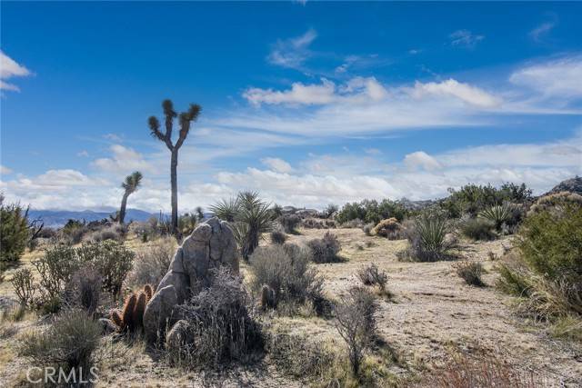 Yucca Valley, CA 92284,777 Grand