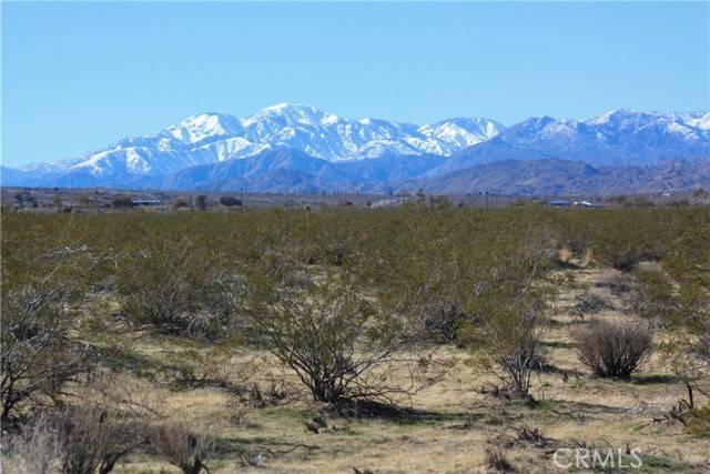 Joshua Tree, CA 92252,0 29 Palms Hwy