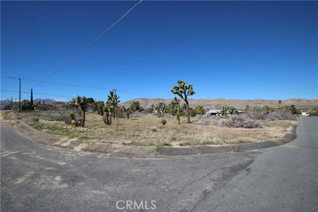 Yucca Valley, CA 92284,0 Condalia