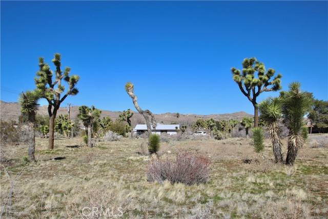 Yucca Valley, CA 92284,0 Condalia