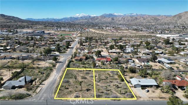 Yucca Valley, CA 92284,0 Condalia