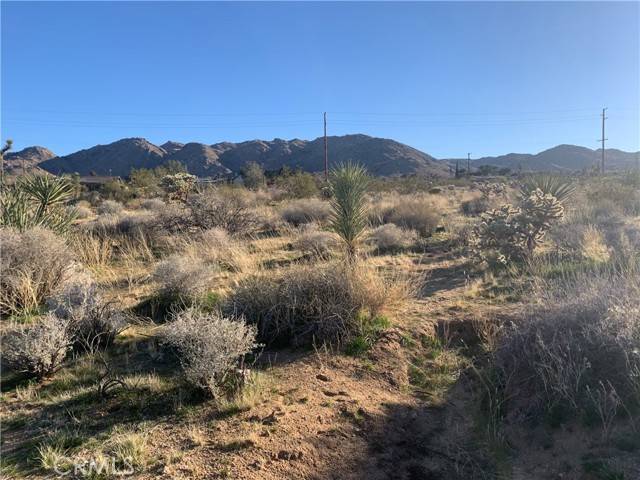 Joshua Tree, CA 92252,60300 Alta Mesa