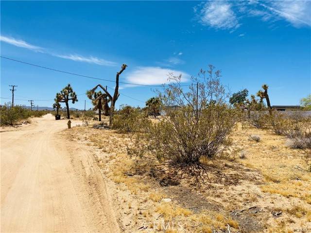 Yucca Valley, CA 92285,1526 Luna Mesa