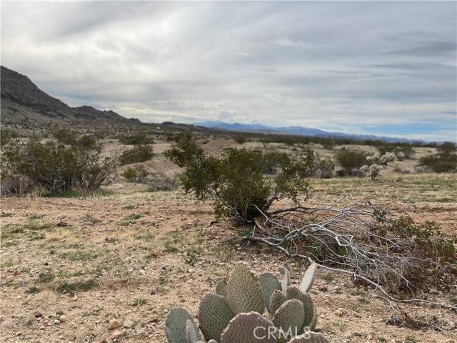 Joshua Tree, CA 92252,0 Outpost