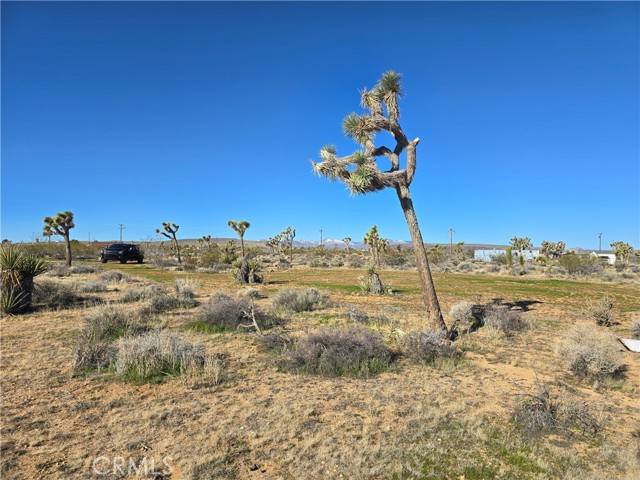 Yucca Valley, CA 92284,3245 Warren Vista