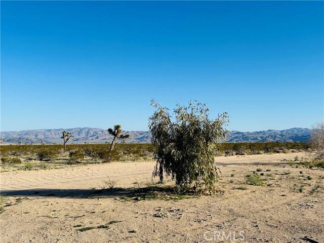 Joshua Tree, CA 92252,1974 Sunset