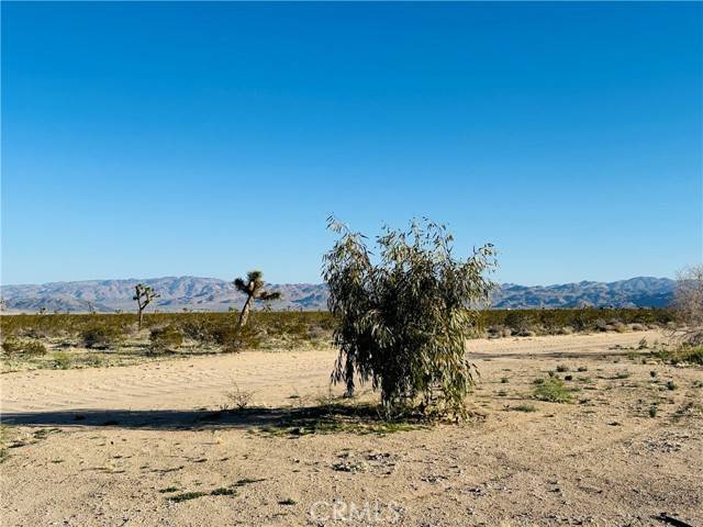 Joshua Tree, CA 92252,1974 Sunset