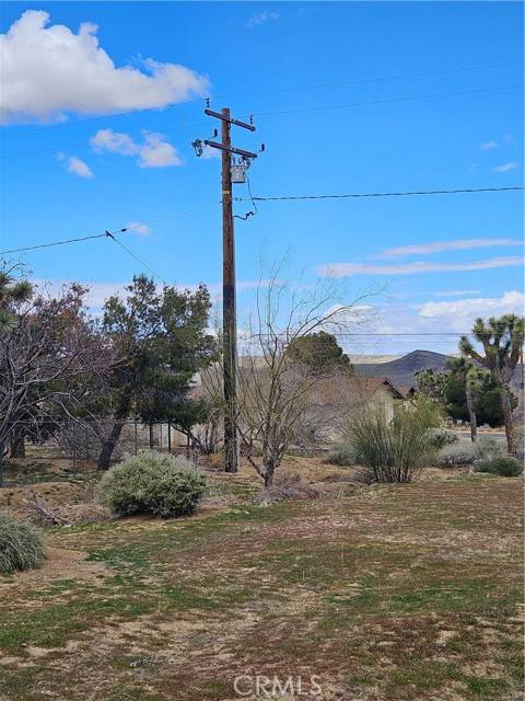 Joshua Tree, CA 92252,60374 La Mirada