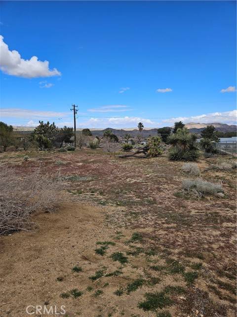 Joshua Tree, CA 92252,60374 La Mirada
