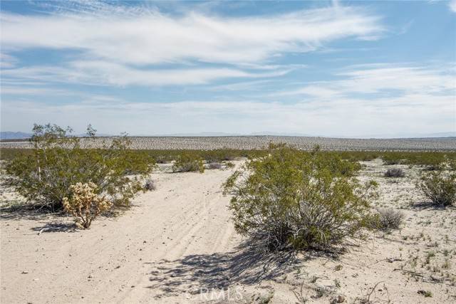 Joshua Tree, CA 92252,2100 Copper Moon