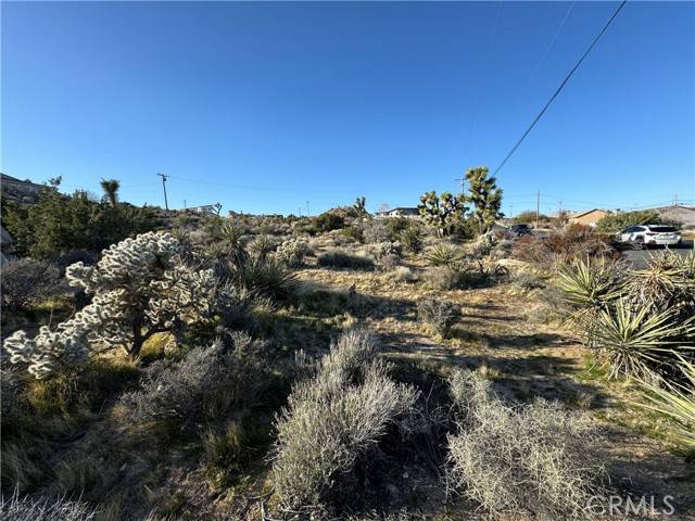 Yucca Valley, CA 92284,0 Buena Suerta