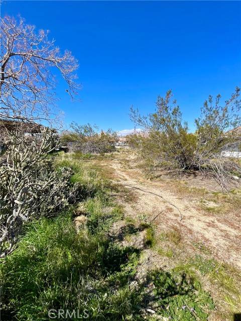 Yucca Valley, CA 92284,2 Indio