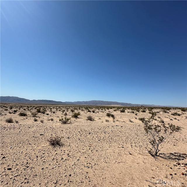 29 Palms, CA 92277,1234 Taco