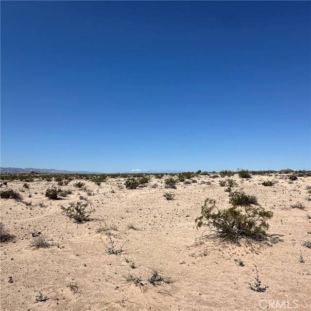 29 Palms, CA 92277,1234 Taco