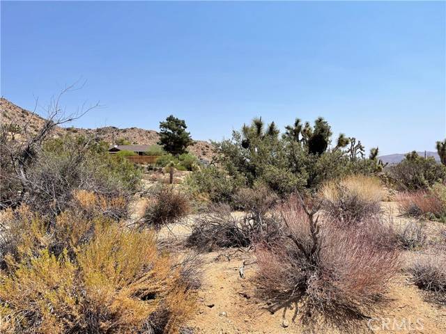 Yucca Valley, CA 92284,55750 Desert Gold