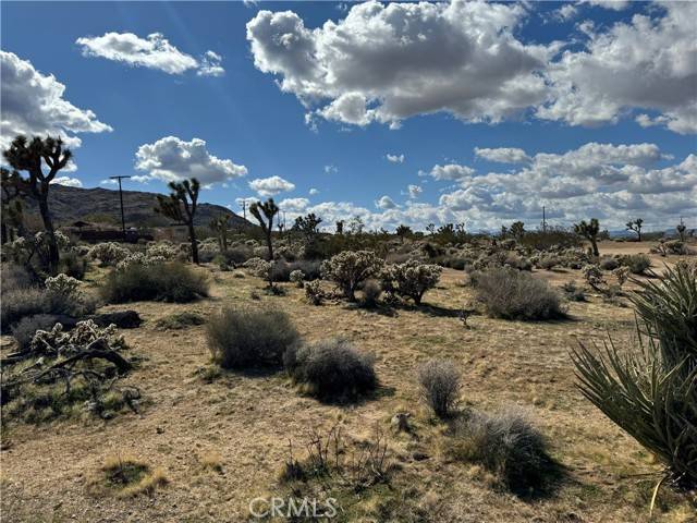 Joshua Tree, CA 92252,7654 Vista