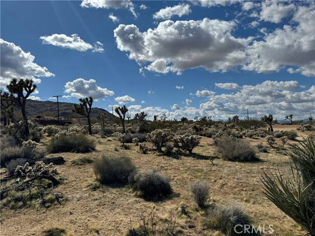 Joshua Tree, CA 92252,7654 Vista