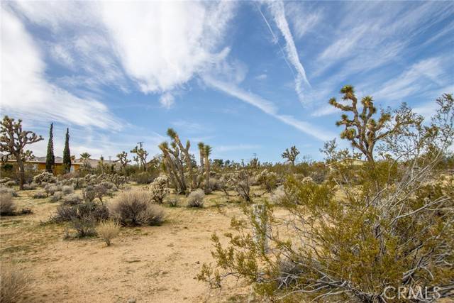 Joshua Tree, CA 92252,61329 Rocky Vista