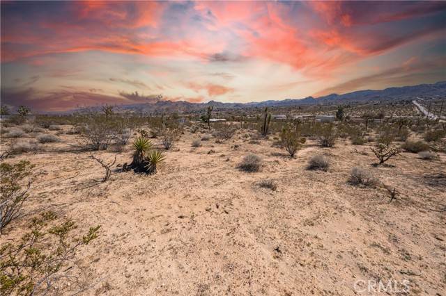 Joshua Tree, CA 92252,6295 Sunny Vista