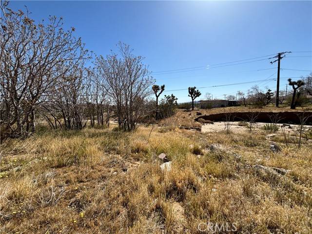 Yucca Valley, CA 92284,6453 Linda Lee