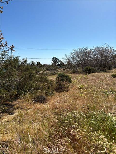 Yucca Valley, CA 92284,0 Linda Lee