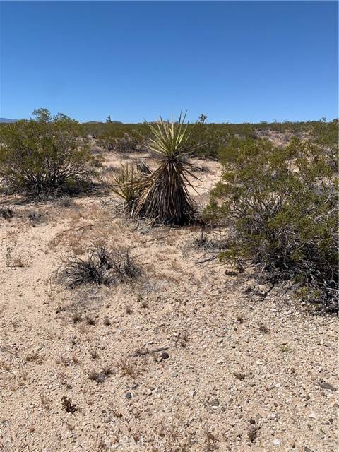 Joshua Tree, CA 92252,0 Sunny Sands