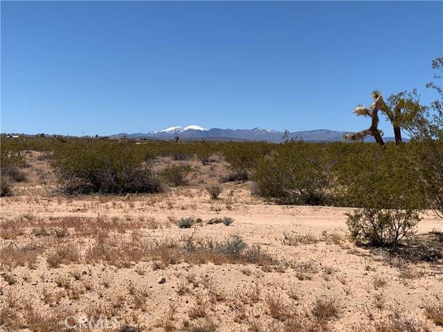 Joshua Tree, CA 92252,0 Sunny Sands