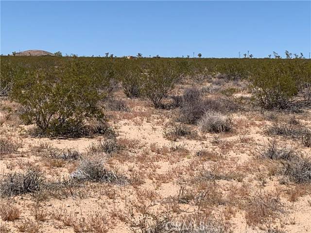 Joshua Tree, CA 92252,0 Sunny Sands