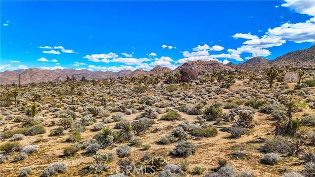 Joshua Tree, CA 92252,7687 Wilton