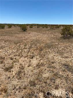 Landers, CA 92285,900 Fetlock Road