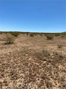 Landers, CA 92285,900 Fetlock Road